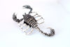 Picture of Scorpio Black Rhinestones Pins || Scorpio Brooch -Halloween Pins(The tail Can Move!)
