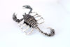 Picture of Scorpio Brooch with Black Rhinestones | Movable Tail Halloween Pin | Scorpion Lapel Pin for Women & Men