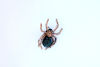 Picture of Gold & Green Rhinestone Spider Brooch | Crystal Pin for Halloween